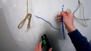 СТРИППЕРЫ HAUPA 210695 ЧЕСТНЫЙ ОБЗОР