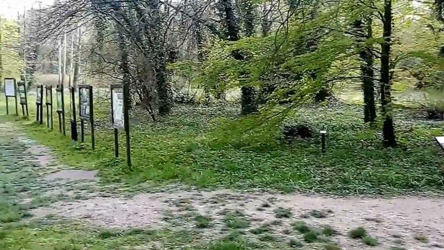 Zamek w kórniku: цветение магнолий, пикник, красивые пейзажи смотреть онлайн