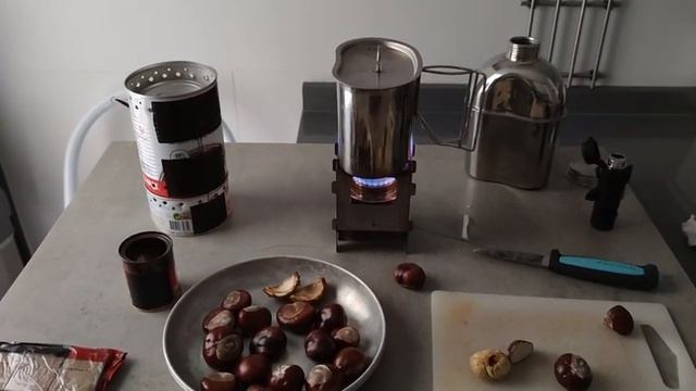 ??? SURVIVAL CHEF #1 Castañas de indias смотреть онлайн