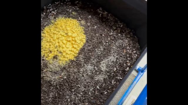 Update on my Vermibag Max worms смотреть онлайн