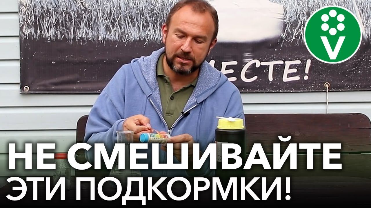НИКОГДА НЕ СМЕШИВАЙТЕ ЭТИ 2 ПОПУЛЯРНЫЕ ПОДКОРМКИ для томатов, перцев и огурцов!