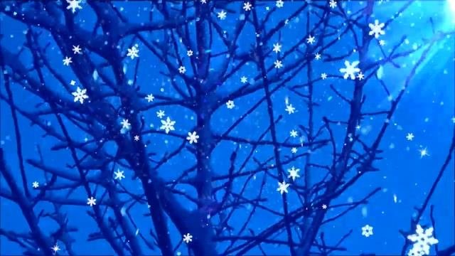 Рождественская ночь. В ожидании чуда