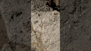 Древняя каменная кладка