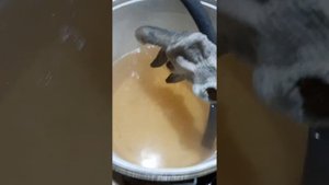 Промывка печки РАВ4
