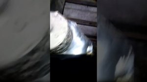 Мерседес C w203 не заводиться.