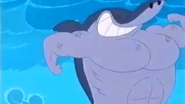 Sharko - Muscle* Inflation [Zig & Sharko]