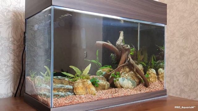 Мутная, вода, в аквариуме, аквариум, зеленая вода, грязная вода, что делать, как смотреть онлайн