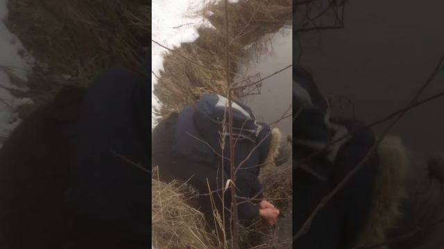 р.Пехорка: Вот какая рыба в пехорке!