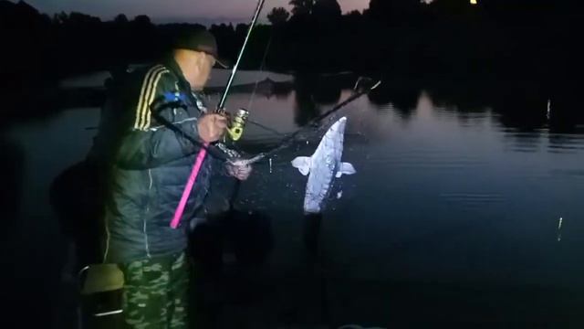 Зачётный осётр смотреть онлайн