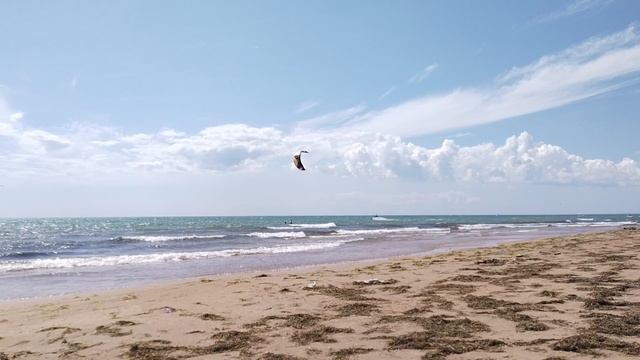 Кайтсёрфинг Анапа