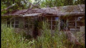 Воронежский завод "Электросигнал". Заводская турбаза "Дон". Кривоборье, 2020 г