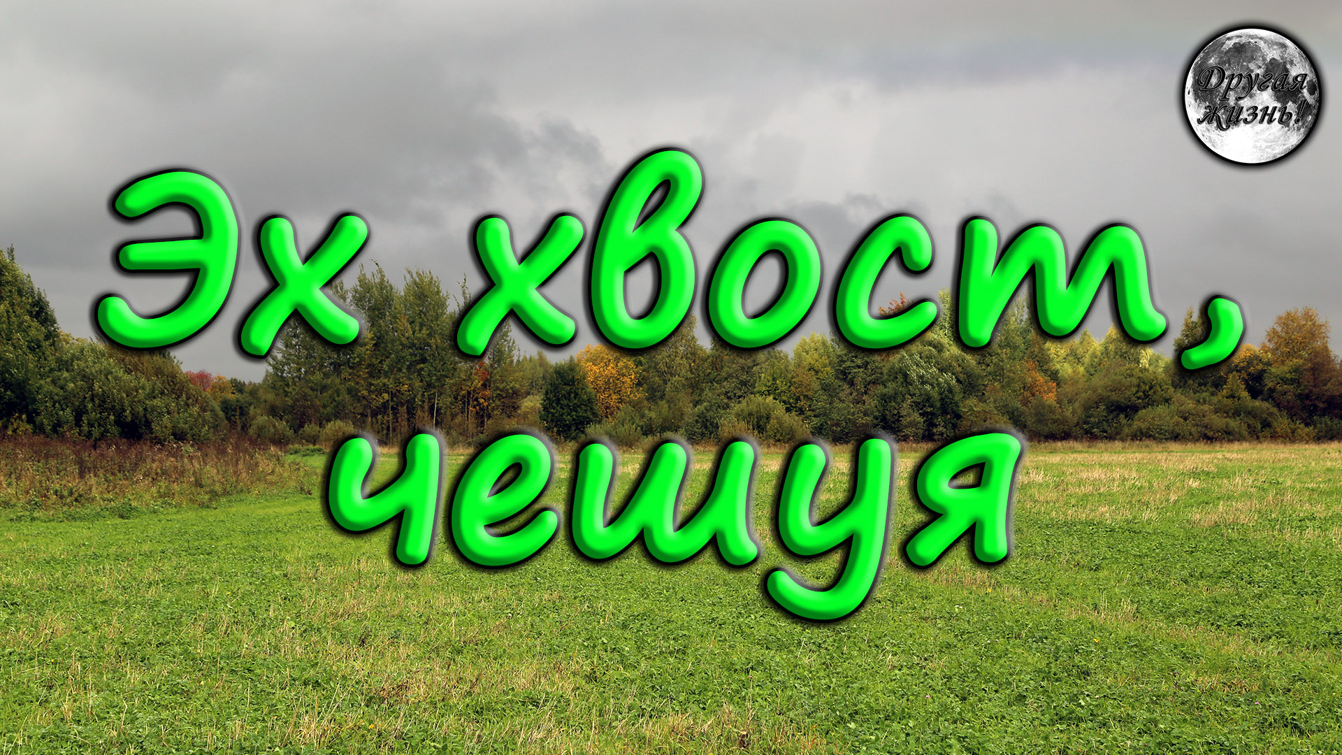 Эх хвост слушать. Эх хвост чешуя. Песня эх хвост чешуя. Эх хвост чешуя не.