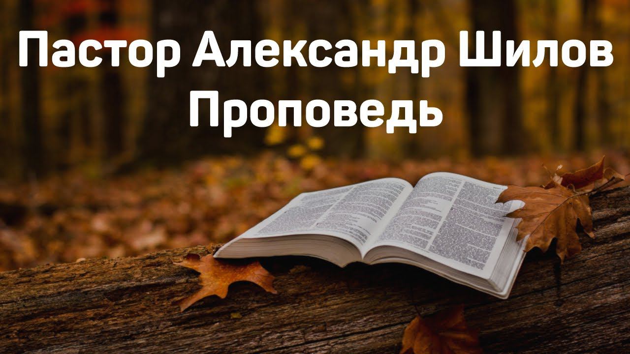 26.06.2024 | Александр Шилов | Проповедь | Евангелие от Марка