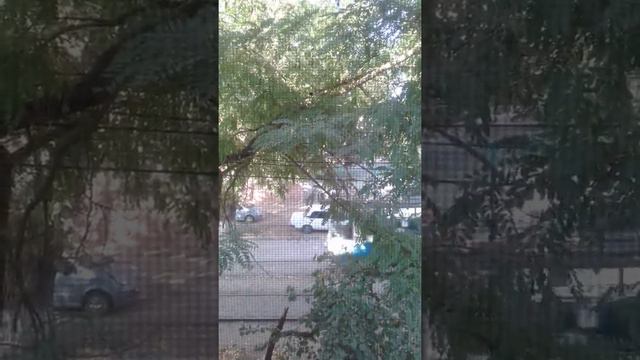 трамвай скоростные таганрог смотреть онлайн