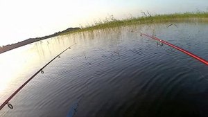 Озеро Отрадное Приозерск. Рыбалка