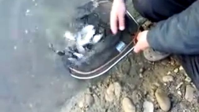 РИБОЛОВ НА РЕКА ИСКЪР ДО кв.ВРАЖДЕБНА  гр. СОФИЯ