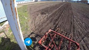 Посев Свёклы/Сеем Свёклу в Открытый Грунт/Выращивание Ранней свёклы.