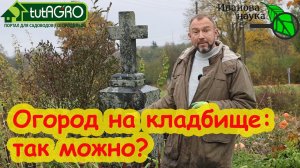 ОГОРОД НА КЛАДБИЩЕ: выращиваю ли я свой урожай на могилах и в этом ли причина моего успеха?