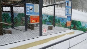 Зоопарк зимой 20160205