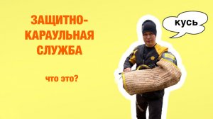 Кинология. Дрессировка собаки для работы в защите.