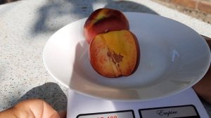 Нектарин Ванг -8.Стоит садить или не стоит?