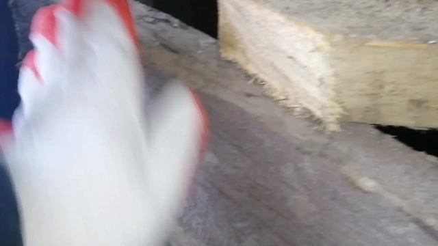 Что натворил хряк / #Дюрок в 5 месяцев /#Делаем #пол смотреть онлайн