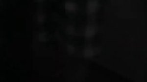 Как легко взять морскую свинку на руки