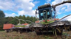 Заготовка силоса техникой Claas. Кормоуборочный комбайн Jaguar 830 с жаткой Orbis 600.