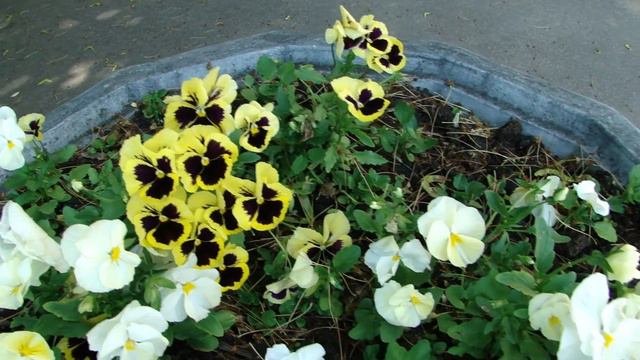 18 июня 2020г жаркое лето смотреть онлайн