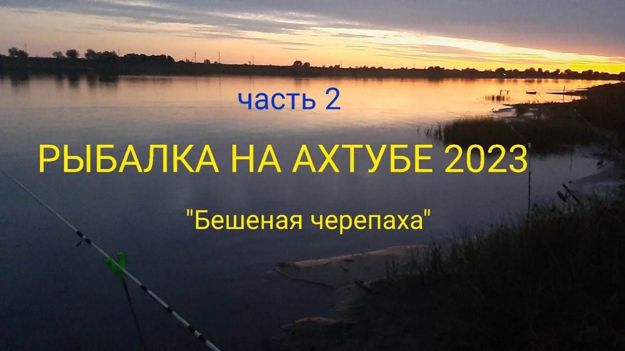 РЫБАЛКА НА АХТУБЕ 2023!!! Часть 2!!! смотреть онлайн