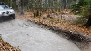 Стоковый Duster  реально едет по бездорожью!!!