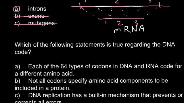 Introns, exons and codons