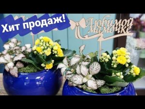 Посадочки ко Дню матери