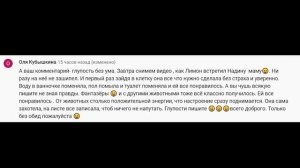 VLOG Вредина Лайф бросила своих животных. Вся правда