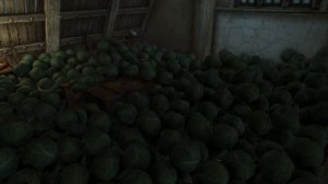 How many cabbages does it take to fill a room? | Skyrim Special Edition