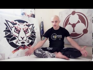 Цикл 5. Урок 4. Грэпплинг и другие виды борьбы