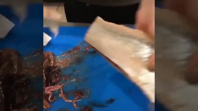 селёдка тазалау / очистить селедку от костей смотреть онлайн