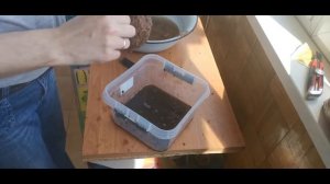 Как сделать вабикусу в Идеальный аквариум