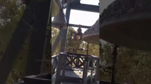 Электронный звонарь