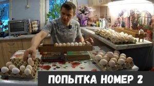 Провал начала индюшиного сезона и в ремонте кухни осталось последнее "потайное" место!