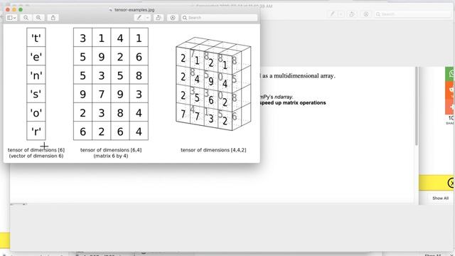 PyTorch for Deep Learning with Python Bootcamp | 14 | PyTorch Basics   What Is a Tensor?
