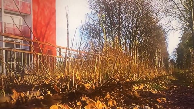 Аффирмация перед сном, тёплая, успокаивающая беседа. смотреть онлайн