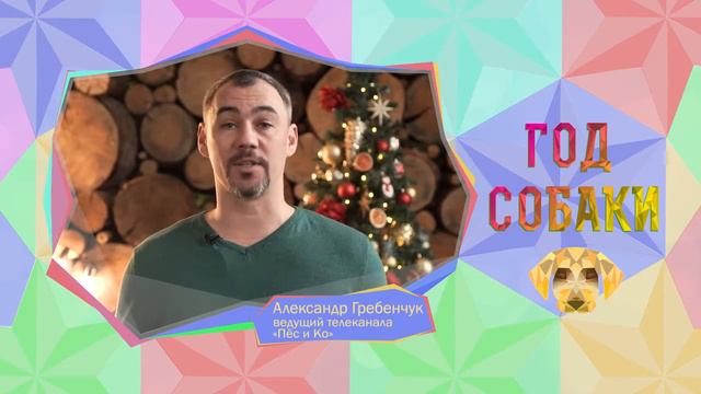 Поздравления НГ 2 Александр Гребенчук 00 25 смотреть онлайн