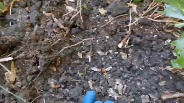 Поиск с новым мд в Лазаревке. смотреть онлайн