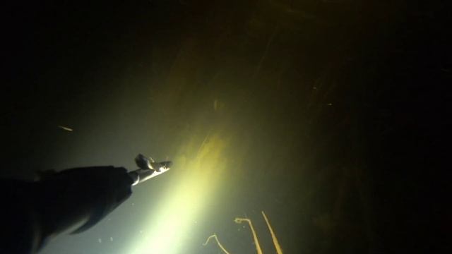 подводная охота, в поисках трофея. маныч. охота с пеленгас варвар 70 смотреть онлайн