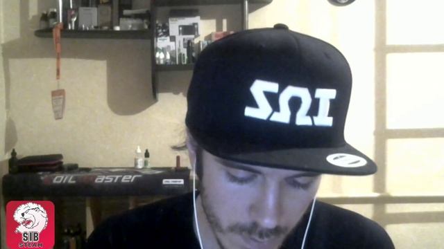 Обзор мехмода SibSteam. Камень, печка, два койла смотреть онлайн