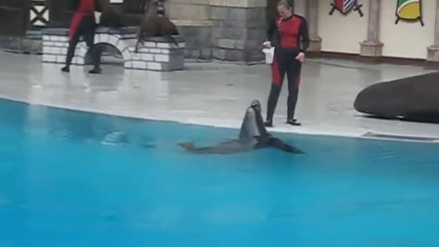 Explore Toronto 09 Marine Land смотреть онлайн