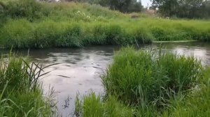 ПРОСИТЬ У РЕКИ БОГАТУЮ ДОЛЮ  ДЛЯ ВСЕХ  ВЕДЬМИНА ИЗБА