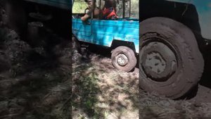 На луазе по болоту