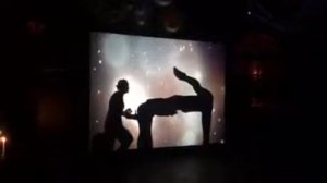 Театр теней, номер на день рождения девочки